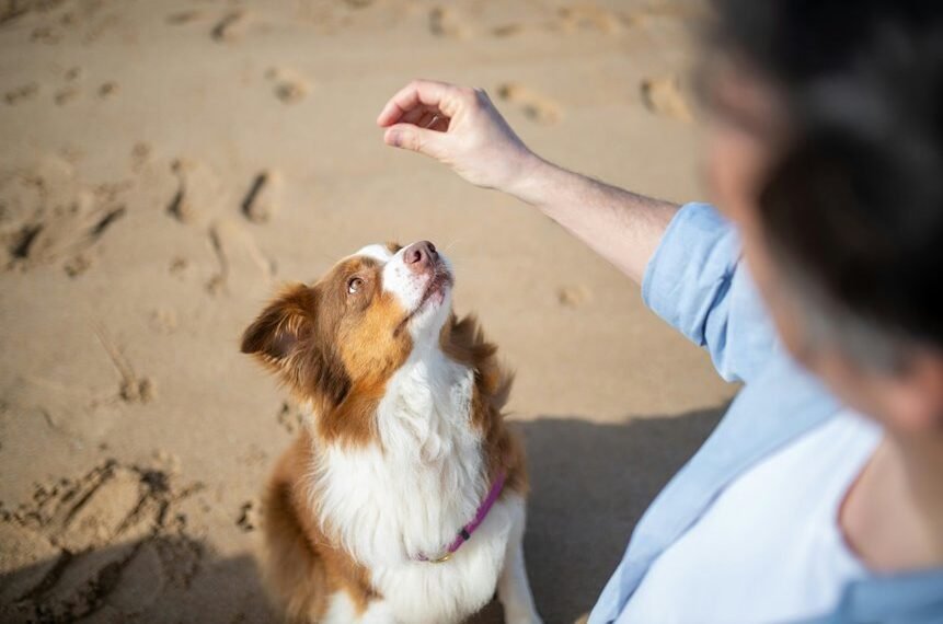 commercial signal intelligence overview