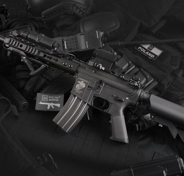 Corporate Operations Insight Brief for 692524612, 8334100241, 982375358, 8337493721, 73679, 9057713911