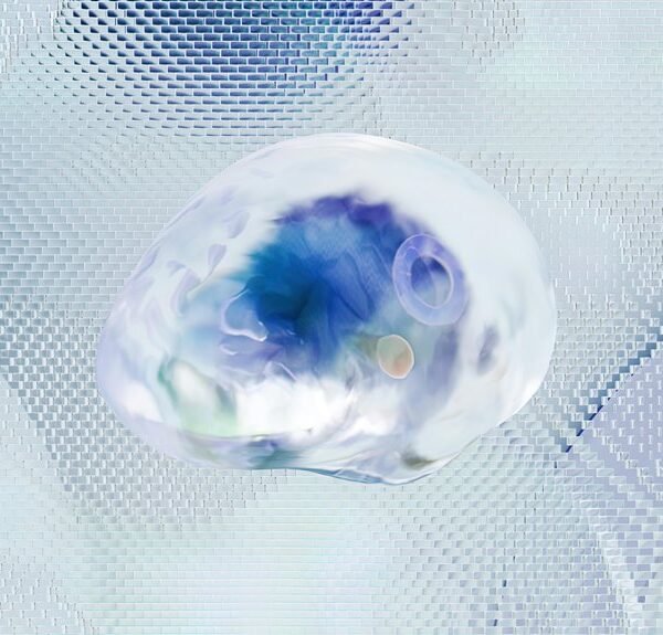 Enterprise Data Intelligence Scan for 2494068448, 43833, 655497730, 911087378, 9072494501, 2103010293